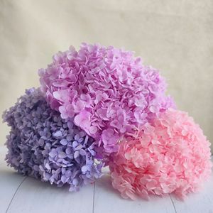 PHA01 Anna ortensia 18 colori solidi naturali fatti a mano conservati fiori di ortensie conservazione a lungo termine per san valentino - Product Image 4