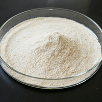 Poudre de chitosane de provenance marine pour des solutions durables de traitement de l'eau et des eaux usées