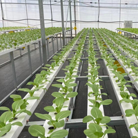 Systèmes de culture commerciaux : Canaux NFT en PVC pour l'agriculture hors-sol, équipement de tuyauterie hydroponique, canal NFT