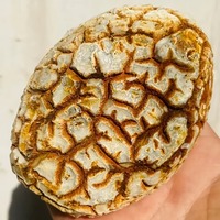 Pierres brutes d'agate naturelle uniques, forme d'ananas, non polies et brutes, avec des couleurs variées, magnifiques spécimens minéraux et cristaux