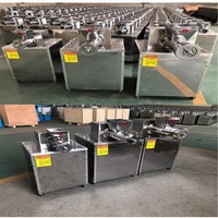Machine extrudeuse de pâtes industrielle électrique automatique pour la fabrication de spaghetti, macaroni, penne et nouilles creuses