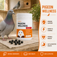 Pilules de récupération énergétique Waylemo pour pigeons de course, complément nutritionnel complet pour pigeons de course, soutien quotidien