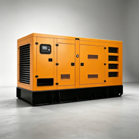 Groupe électrogène diesel silencieux Baudouin 160 kW 50 Hz 400 V avec régulateur électronique, alimentation électrique commerciale robuste, générateur diesel Lilysenma