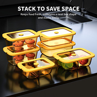 Conteneur de stockage alimentaire en verre borosilicate avec joint en silicone, compatible micro-ondes et four, boîte à lunch grande capacité