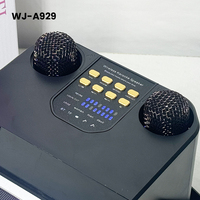 Speaker Bluetooth KTV Genggam Isi Ulang OEM dengan 2 Mikrofon Nirkabel, Daya Tahan Baterai Lama, RGB untuk Bernyanyi Anak