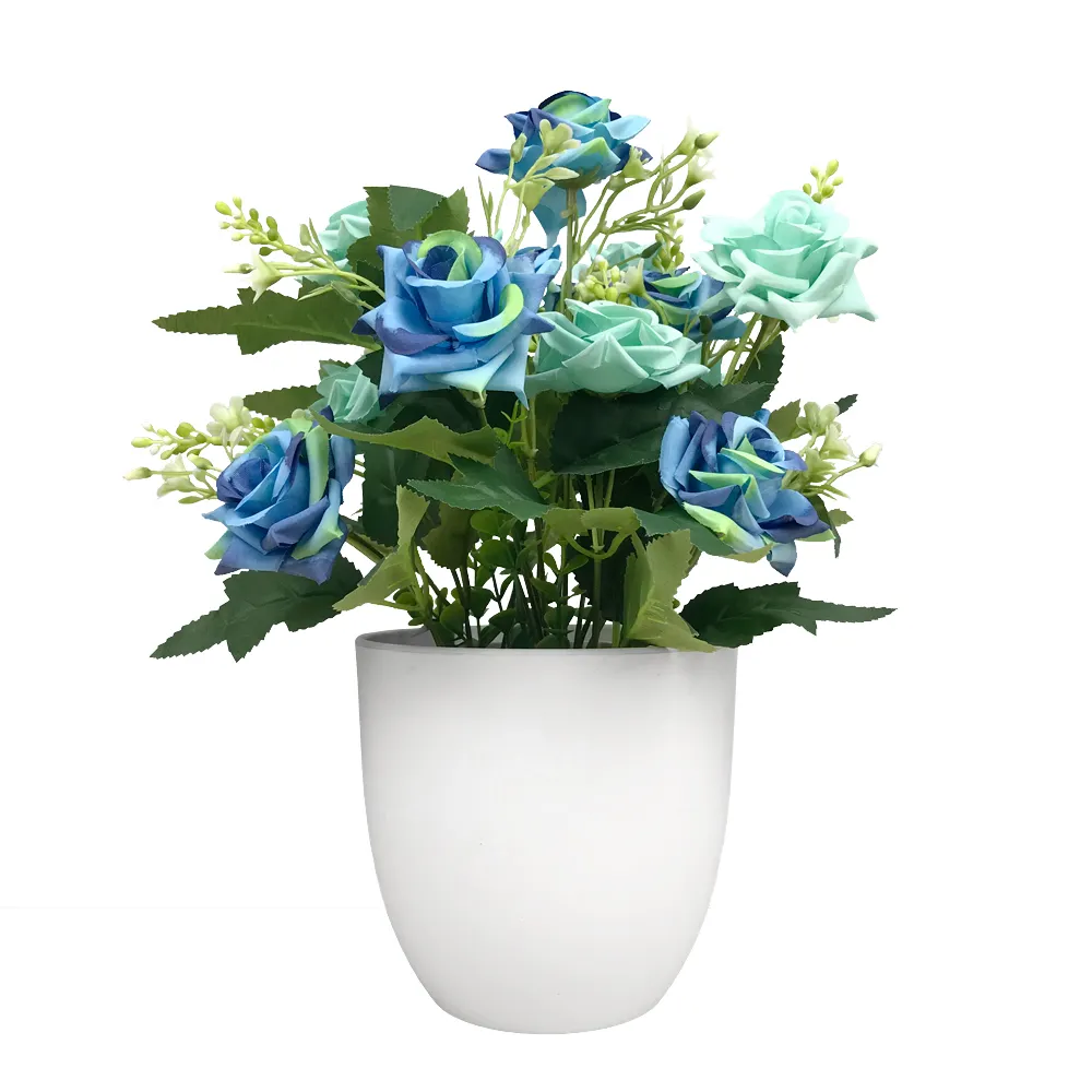A buon mercato personalizzabile decorazione di interni ed esterni di grandi dimensioni di Plastica fioriere per Succulente