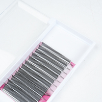 Extensions de cils Anime Lashes Spire 1mm à base étroite, noir mat, en soie PBT, plateaux de volume, fournitures en gros