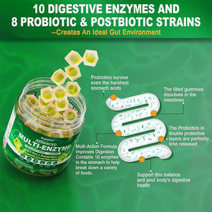 Suplemen enzim pencernaan Multi bebas gula probiotik & campuran serat prebiotik diisi - Product Image 3