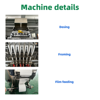 Machine d'emballage verticale entièrement automatique en acier inoxydable pour granulés, six canaux, pour petits sachets d'épices, sucre, sel, poivre, en caoutchouc de silicone