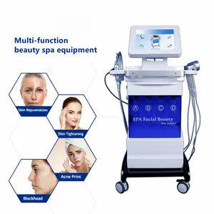 Multifunction Blackhead Remover Deep Cleansing Vacuum Aqua RF Bio face cleaning water oxygen jet peel machine