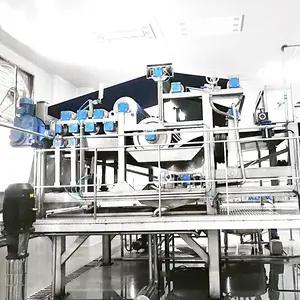 Mango Processing Factory Line Automatic Mango Peeling Machine Mango Washing And Grading Machine