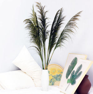 Plumas de Pampas Preservadas al por Mayor, Grandes, Esponjosas, Tacto Natural, Decoración Boho, Arco de Boda, Lujo, Navidad, Naturales y Secas - Product Image 6