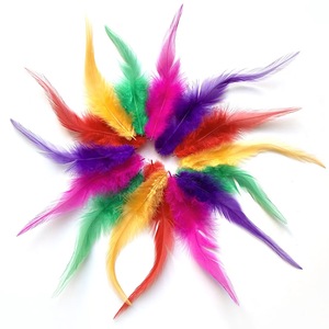Plumes <span class=keywords><strong>de</strong></span> <span class=keywords><strong>coq</strong></span> <span class=keywords><strong>de</strong></span> haute qualité, fines et longues (10-18 cm), <span class=keywords><strong>pour</strong></span> extensions <span class=keywords><strong>de</strong></span> <span class=keywords><strong>cheveux</strong></span> et matériaux <span class=keywords><strong>de</strong></span> montage <span class=keywords><strong>de</strong></span> mouches. - Product Image 1