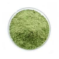 Poudre d'herbe d'orge de haute qualité, fournie par l'usine, fibres végétales vertes, poudre d'herbe d'orge verte naturelle en emballage en fût