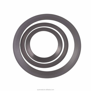 Quanseal PTFE con dấu môi lp8030 Mô hình kích thước 1-1900 - Product Image 6