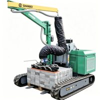 Transporteur à vide automoteur sur chenilles de 1 tonne, 9,6 kW, moteur diesel, pour le levage de briques