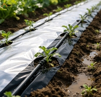 Film de paillage en PE noir argenté haute résistance, couverture de sol agricole en plastique robuste