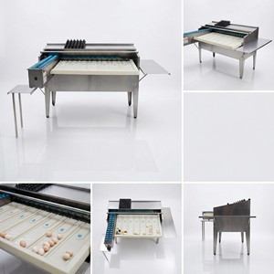 Máquina Procesadora de Huevos Automática de Alta Capacidad Comercial, 4500 Huevos por Hora, Sistema de Clasificación y Calibrado de Huevos de Acero Inoxidable - Product Image 2