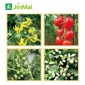 <span class=keywords><strong>Engrais</strong></span> foliaire composé NPK soluble dans l'eau, ultra-riche en phosphore et potassium, en poudre, pour plantes, 0-52-34 - Product Image 5