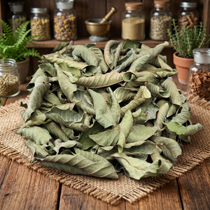 ใบมะเฟืองแห้งแบบอียิปต์ (อายุการเก็บรักษา 24 เดือน)- แบรนด์ HERBS GROUP ผลิตภัณฑ์จากอียิปต์ แหล่งผลิต ฟายูม อียิปต์ - Product Image 3