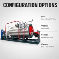 Chaudière à vapeur horizontale automatique à condensation au gaz/au mazout 5,5T/h, haute efficacité énergétique, économie d'énergie industrielle
