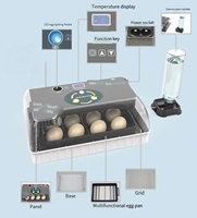 Incubateur d'œufs intelligent automatique pour la maison, contrôle numérique de la température et de l'humidité, équipement d'éclosion automatique léger