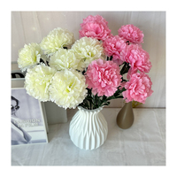 Fleur d'Œillet en Gros de Haute Qualité, le Meilleur Cadeau d'Anniversaire Fabriqué en Chine pour la Fête des Mères