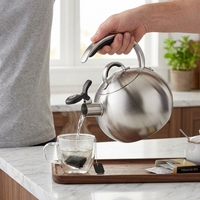 Bouilloire à thé en acier inoxydable poli 18/8, 1,9 L, compatible induction, design moderne, écologique, avec couvercle, pour la maison et les hôtels, haute qualité