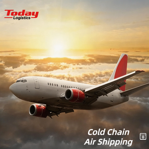 Efficient <b>Air</b>+Trucking Cold Ground <b>Air</b> Intermodal Sensitive Consignments DDP Japan South Korea Malaysia DHL Last Mile Service - Product Image 1