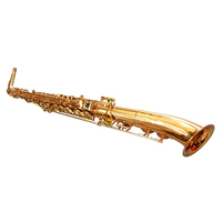 Saxofón Alto Profesional Huayun de Latón con Acabado Dorado, Estuche Rígido, Boquilla Ajustable, Correas, Cañas y Kit de Limpieza