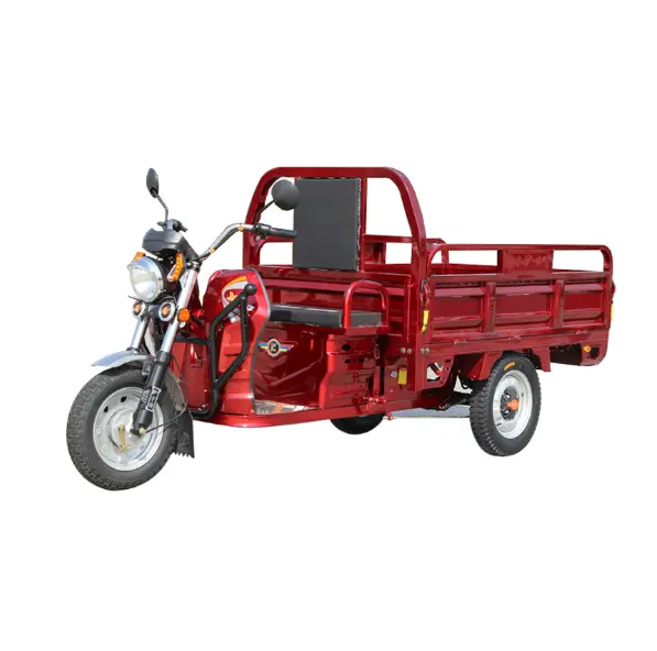 Electric Tricycles 3 Wheel Electric Cargo Bike Back Box Equipped Automatic Lifting Hydraulic Rod