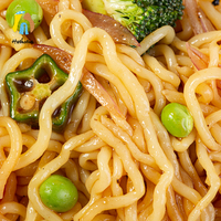 Sugar Free Fat Free Low Carb Gluten Free Oat Instant Konjac Noodles Spaghetti for Children & Adults