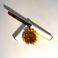 Brillant à lèvres imperméable à base minérale crème solaire hydratant tasse de beauté maquillage OEM ODM usine adapté rouge à lèvres lèvre