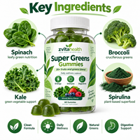 Fournisseur de poudre de super-aliments verts pour la beauté en marque blanche – Probiotiques, enzymes, santé digestive, détox, stimulation immunitaire, certifié GMP
