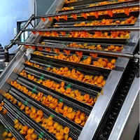 Geavanceerde multifunctionele verwerkingslijn voor perziken, abrikozen en pruimen met PLC-pompmotor voor het maken van sap, puree, jam en ingeblikt fruit.