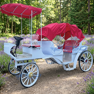 Chariot Électrique de Tourisme de Qualité Supérieure, Véhicule Type Calèche pour Services de Transport Touristique Spécialisé - Product Image 1