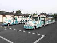 Train touristique électrique de luxe en métal Dorlin DLLD pour les excursions dans les sites touristiques