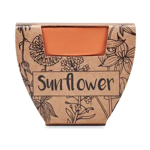 Barattolo per Semi di Girasole SUNFLOWER, Gadget Ecologici - Product Image 2