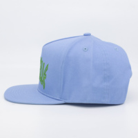 Groothandel Volledig Aangepaste 5-Panel Unisex Geborduurde Snapback Caps Acryl Stof Verstelbare Maat Platte Klep Hip Hop Snapback Pet