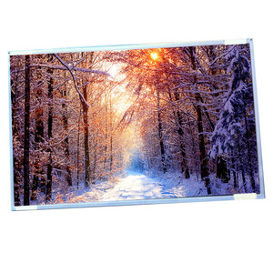 G220sw01 v0 LCD Bảng điều chỉnh 22.0 inch 1680*1050 <span class=keywords><strong>WSXGA</strong></span> + 90ppi LCD màn hình hiển thị cho công nghiệp - Product Image 1