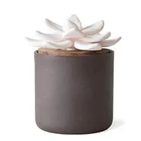 Keramik Sola Blume Aroma Diffusor mit schöner Box