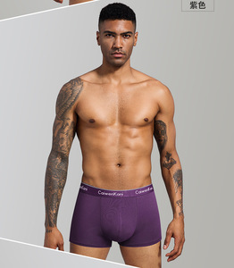 Offre Spéciale Coffret Cadeau Modal Stretch Doux Mince Respirant Confortable Sous Porter Hommes Haute Qualité Hommes Boxers Sous-Vêtements - Product Image 5