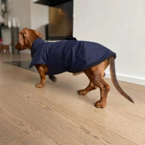 مصمم معطف واق من المطر Dachshund قماش عاكس سترة المطر الحيوانات الأليفة للماء مقاوم للرياح ملابس الكلاب لأوروبا شعبية في الهواء الطلق - Product Image 3