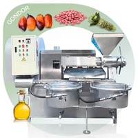 Expulseur de coprah Extracteur de palme Avacado Fèves de soja Machine commerciale de processus de presse d'huile de cuisson d'avocat de noix de coco