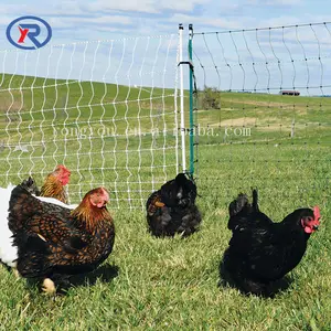 Rede de aves elétricas de plástico, várias vendas de aves elétricas baratas para ovelha e outros animais amplamente utilizadas na fazenda, 2022