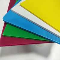 Feuilles PP / Corex de 2 mm et 3 mm, taille et forme personnalisées, écologiques, impression étanche acceptée