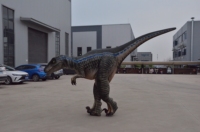   Costume de dinosaure fait main, haute technologie, taille grande, animatronique, à vendre