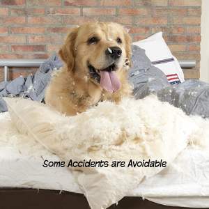 รั้วไม้กั้นสัตว์เลี้ยงแบบพับได้แผงรั้วสุนัขขนาดใหญ่อิสระในร่มสำหรับบ้าน - Product Image 6