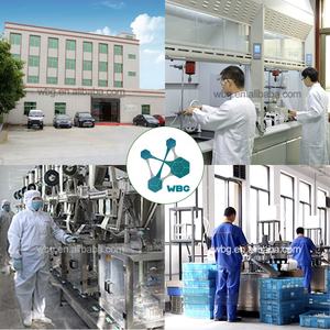 Grasa Industrial WBG, Aceite Lubricante para Motores, Micromotor de Alta Temperatura con Reducción de Ruido, Composición de Aceite Base - Product Image 6