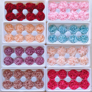 Venta al por Mayor de Nuevos Productos: Cabezas de Rosa <span class=keywords><strong>Austin</strong></span> Secas y Conservadas de Larga Duración para Decoración de Mesa y Hogar - Product Image 3